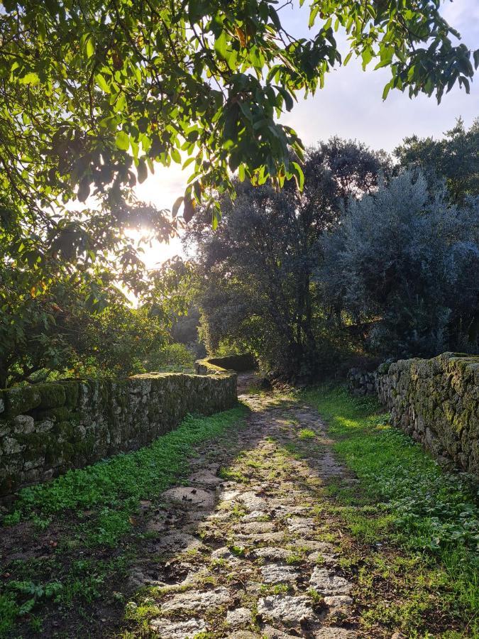 Quinta De Sao Pedro De Vir-A-Corca Em Monsanto Bed and Breakfast Εξωτερικό φωτογραφία