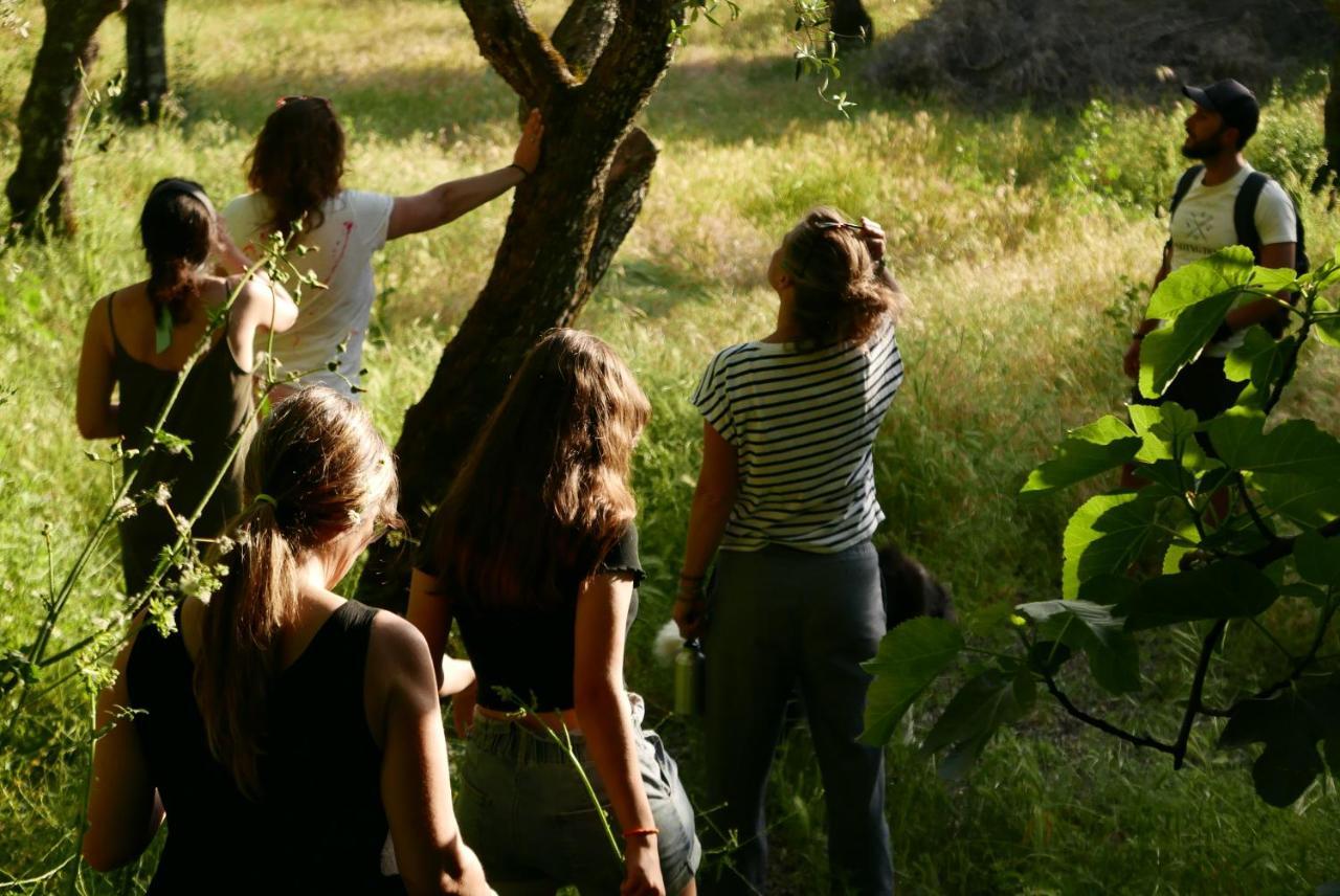 Quinta De Sao Pedro De Vir-A-Corca Em Monsanto Bed and Breakfast Εξωτερικό φωτογραφία