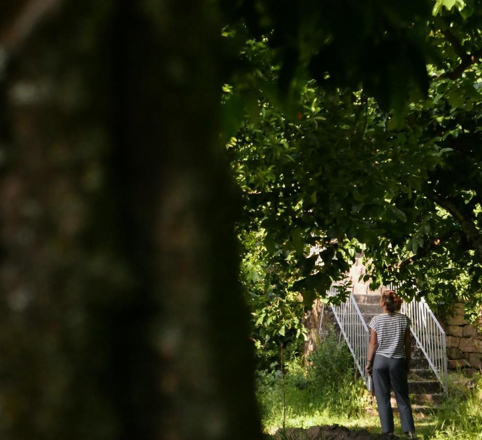 Quinta De Sao Pedro De Vir-A-Corca Em Monsanto Bed and Breakfast Εξωτερικό φωτογραφία