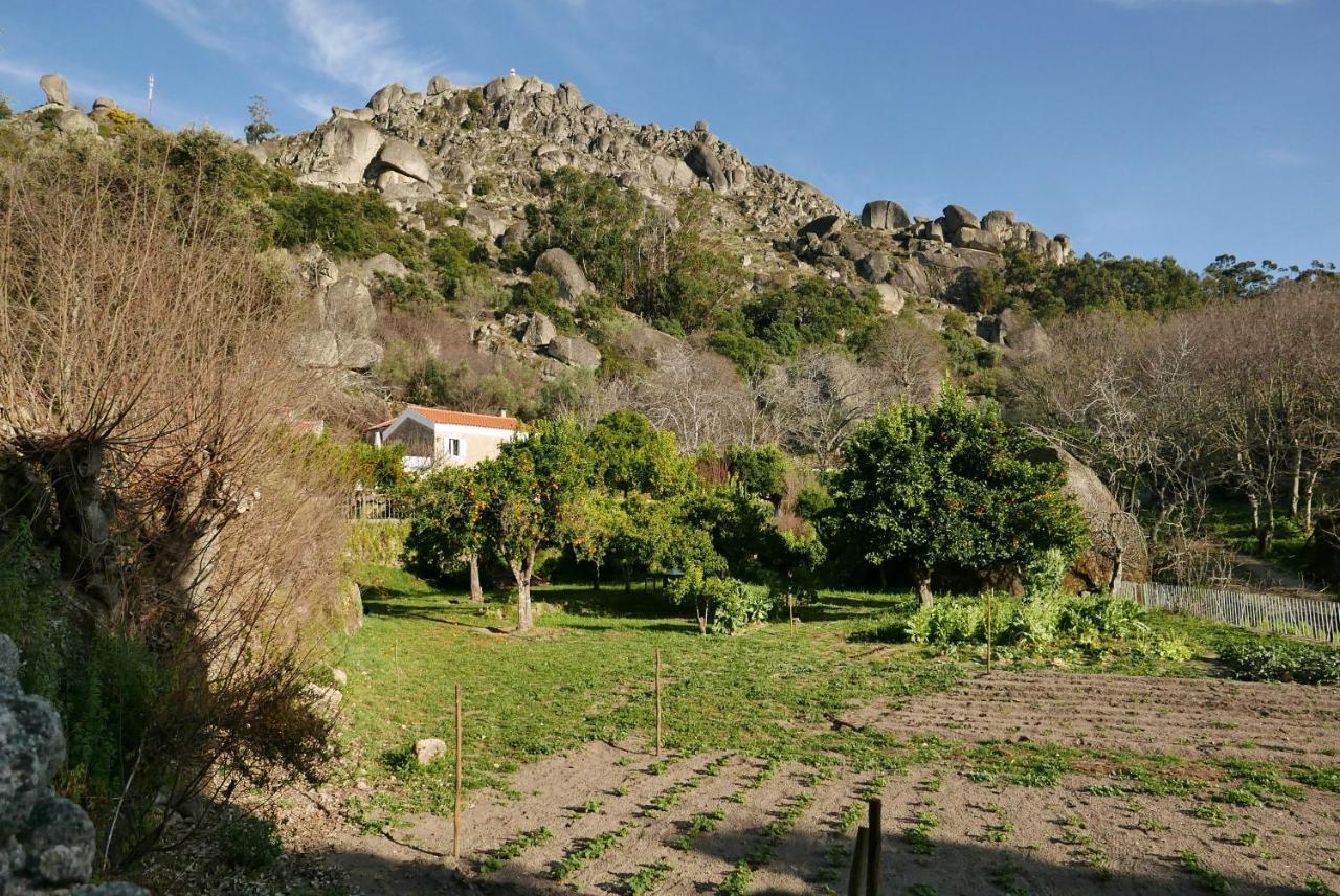 Quinta De Sao Pedro De Vir-A-Corca Em Monsanto Bed and Breakfast Εξωτερικό φωτογραφία