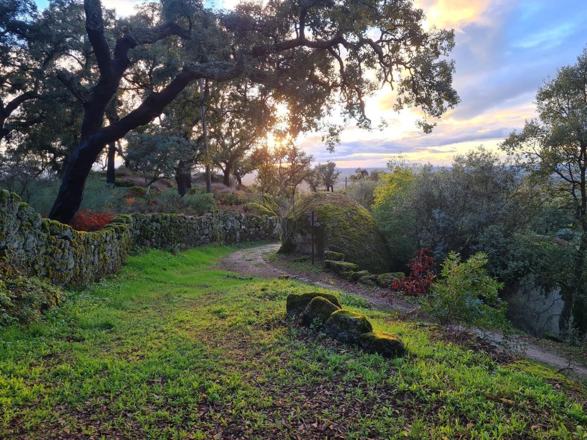 Quinta De Sao Pedro De Vir-A-Corca Em Monsanto Bed and Breakfast Εξωτερικό φωτογραφία