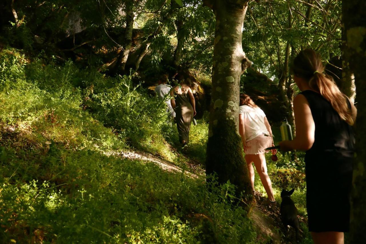 Quinta De Sao Pedro De Vir-A-Corca Em Monsanto Bed and Breakfast Εξωτερικό φωτογραφία